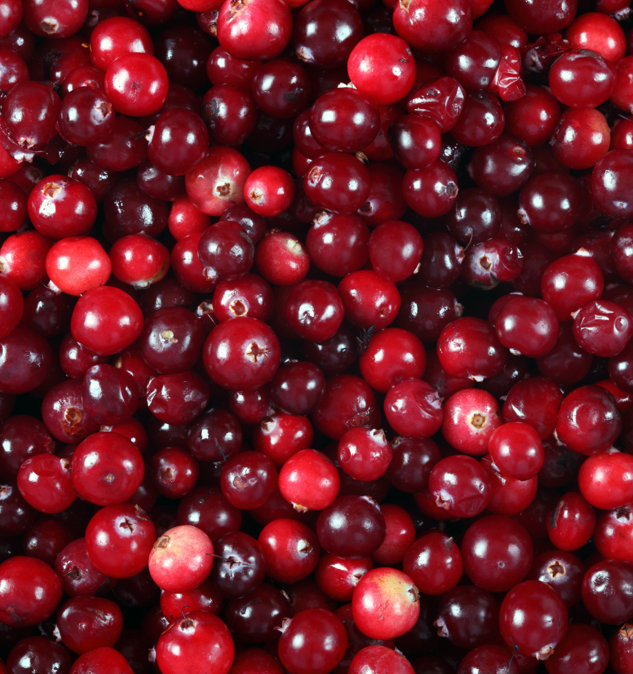 cranberry flavour