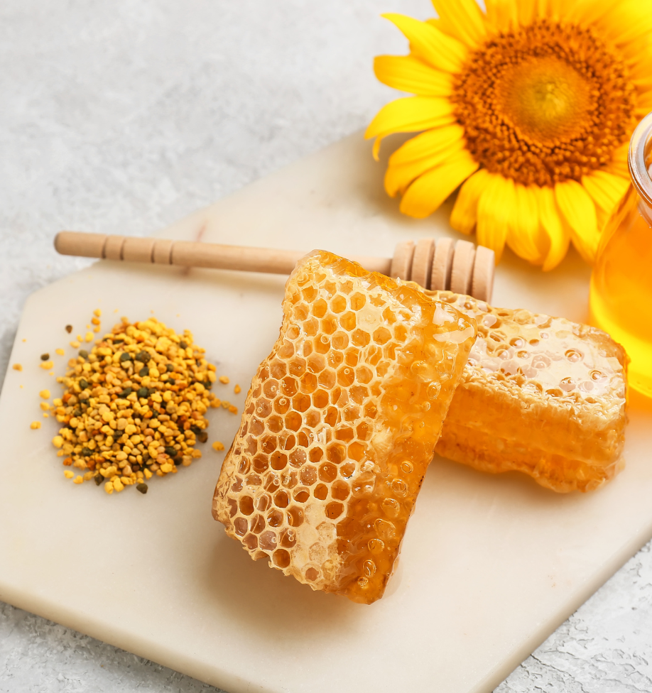 bee bread honey